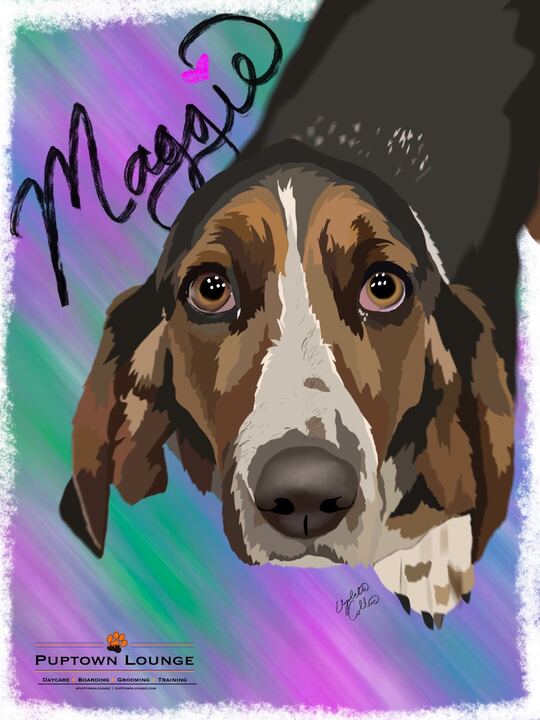 Dog of the Month Illustration of a small black, brown, and white Basset Hound named Maggie at Puptown Lounge