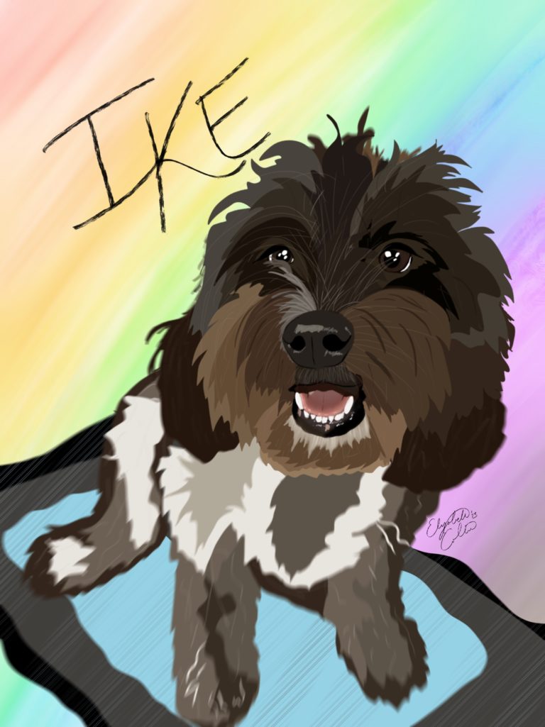 Illustration of a black and white cavapoo named Ike at Puptown Lounge Dog Daycare and Boarding Upper Arlington