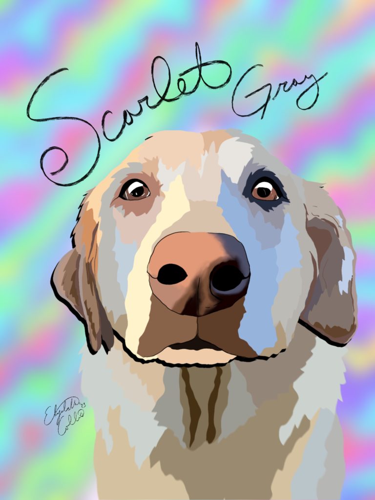 Illustration of a yellow lab named Scarlet at Puptown Lounge Dog Daycare and Boarding North Columbus