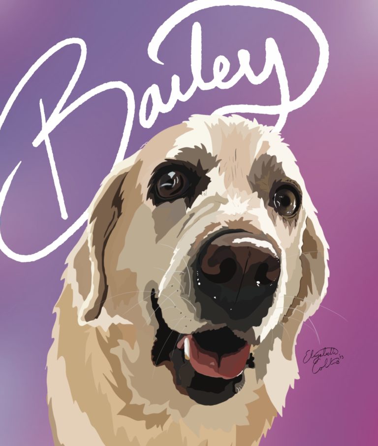 Puptown Lounge Dog of the month Illustration of a yellow lab named Bailey T.