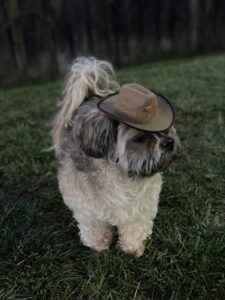 Cowboy Chubby