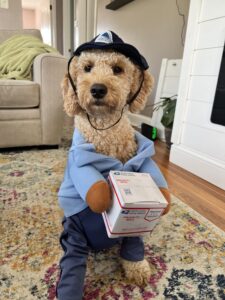 Murphy C the maildog