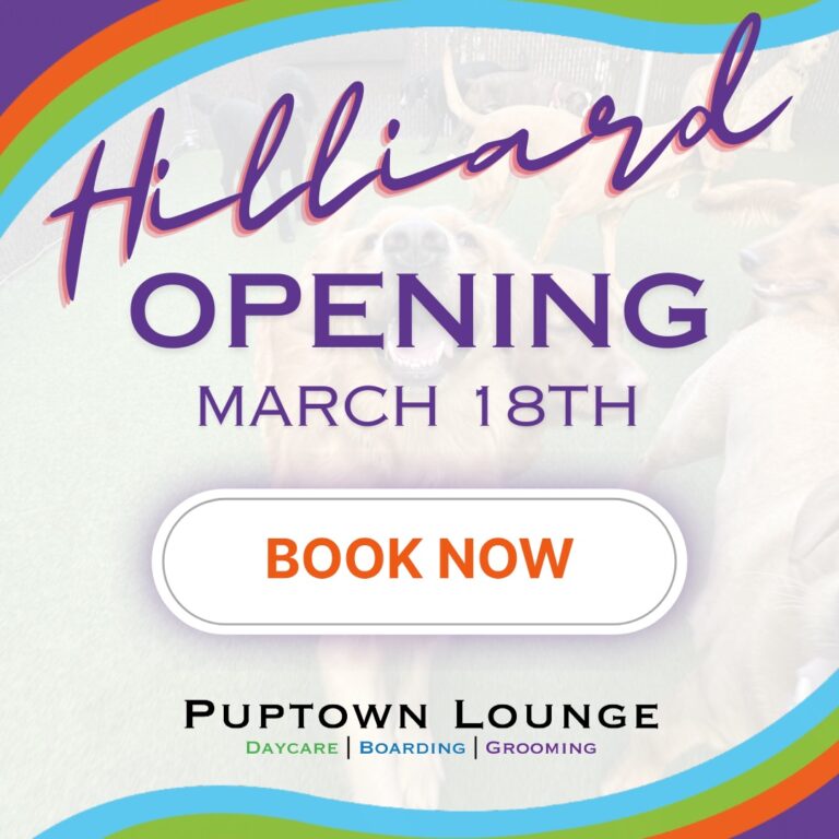 Coming March 18, 2024 PTL Hilliard, Ohio! Puptown Lounge Dog Daycare